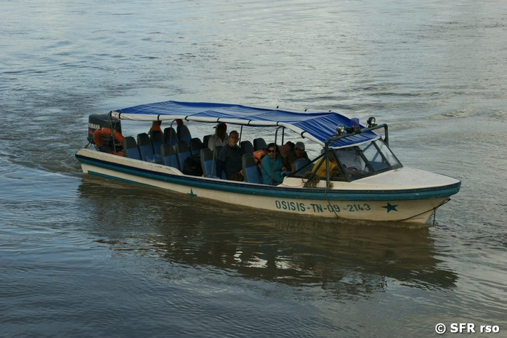 Motorisiertes Boot am Río Napo in Ecuador 