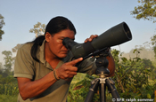 Birding durch das Spektiv in Ecuador