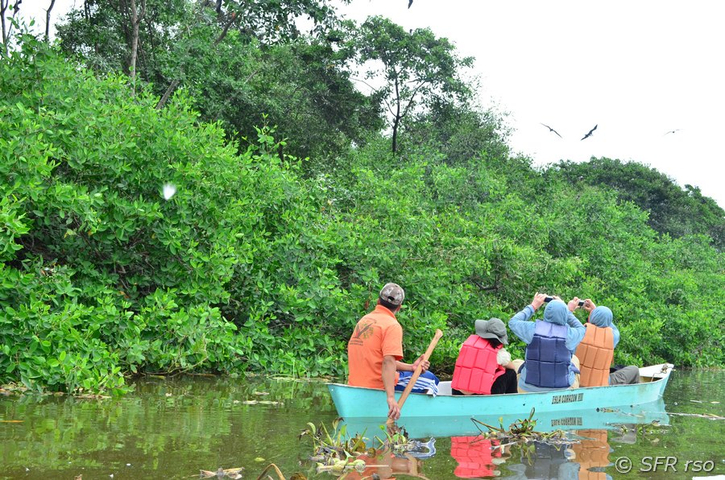 Vogelbeobachtung in Kanu ohne Motor, Ecuador