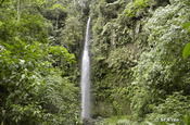 Hola Vida Wasserfall, Ecuador