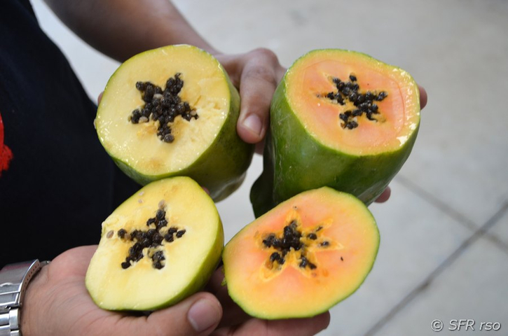 Aufgeschnittene Papayas in Ecuador