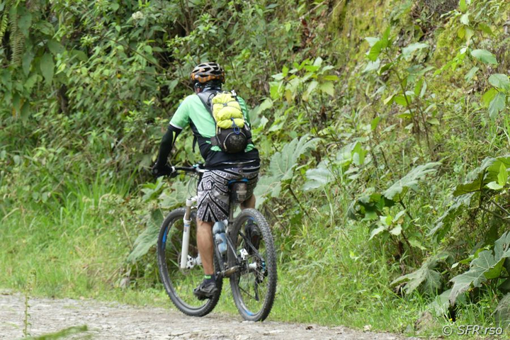 Downhill-Biking im Bergnebelwald in Ecuador