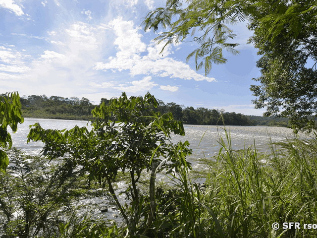 Selina Amazon Lodge Blick auf Rio Napo Ecuador