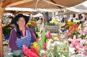 Blumenmarkt Plaza de las Flores in Cuenca, Ecuador