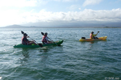 Kayaking bei Las Tintoreras Isabela, Galapagos