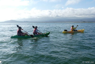 Kayaking bei Las Tintoreras Isabela, Galapagos