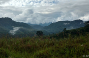 Sumaco Umgebung im Nationalpark Sumaco in Ecuador