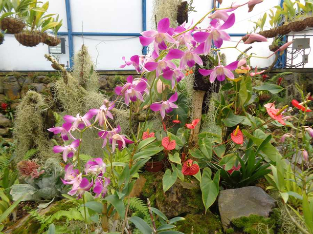 Botanischer Garten