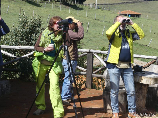 Kondorbeobachtung bei Tambo Machay in Ecuador