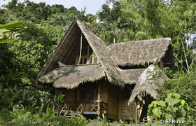 Bungalow Selina Amazon Lodge