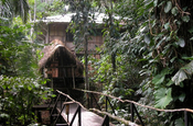 Gang zur Sacha Lodge Ecuador