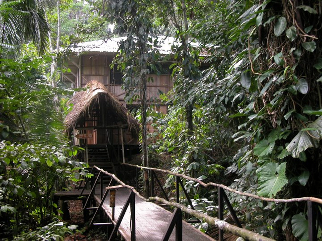 Gang zur Sacha Lodge Ecuador