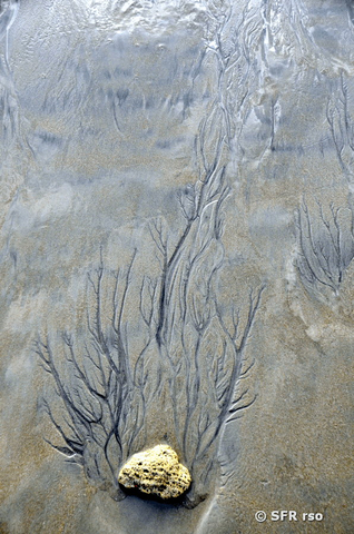 Muster im Sand bei Canoa, Ecuador