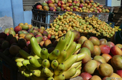 Obst frisch vom Markt Sangolqui Ecuador