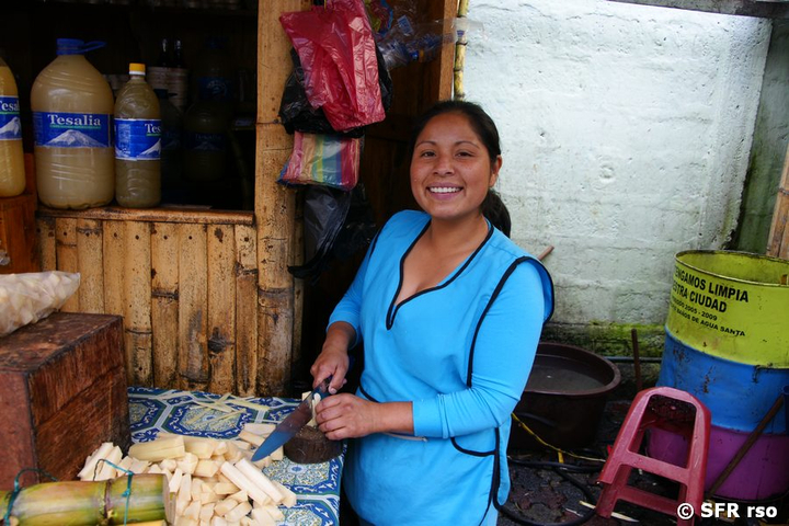 Zuckerrohr Frau in Banos de Agua, Ecuador