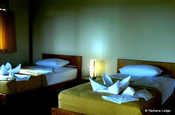 Twin Room Yachana Lodge Ecuador