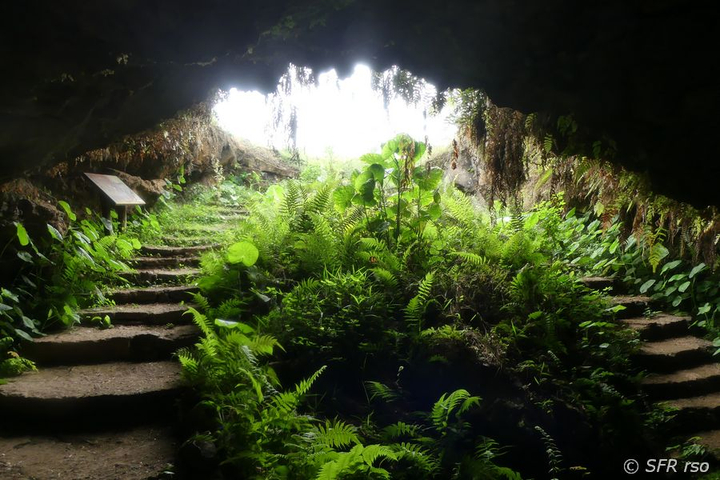 Höhlenausgang in Cueva del Sucre, Galapagos