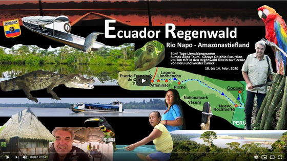 Video Bergnebelwald bis in das Amazonasgebiet von Ecuador