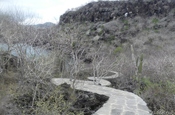Pfad in Cerro Tijeretas, Galapagos