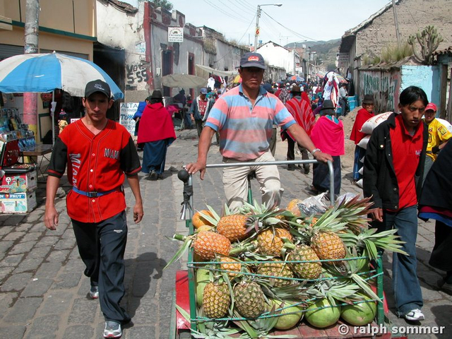 Ananas Verkäufer in Ecuador