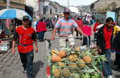 Ananas Verkäufer in Ecuador