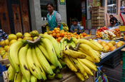 Bananen in Ecuador