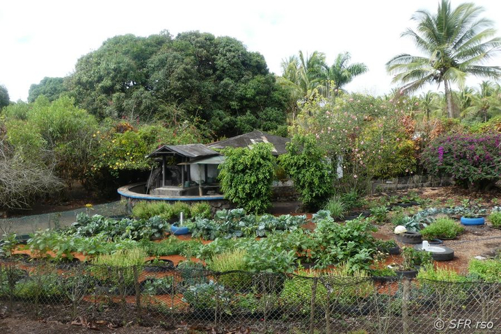 Campo Duro Öko Gemüseanbau, Galapagos