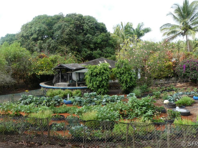 Campo Duro Öko Gemüseanbau, Galapagos