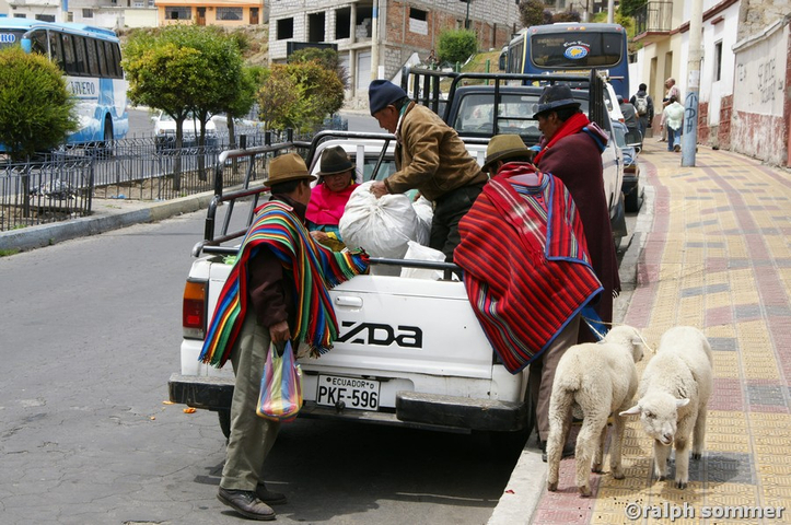 Verladen auf Pick-Up in Ecuador