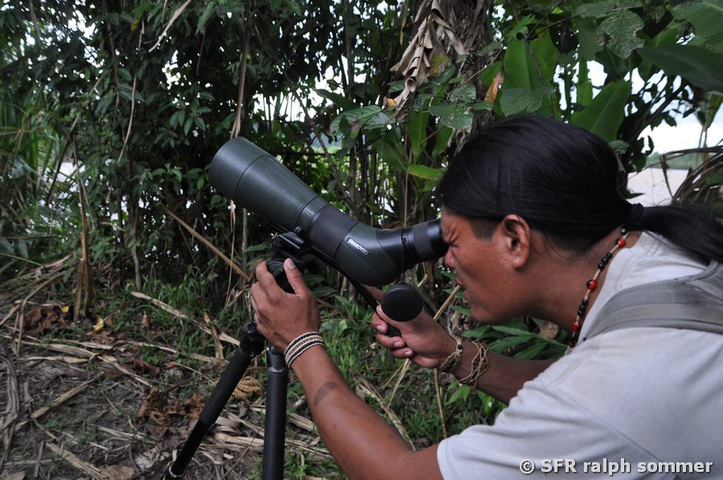 Vogelbeobachtung Spektiv Yachana Lodge Ecuador