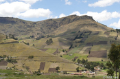 Ackerbau in den Anden, Ecuador