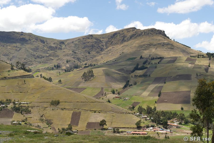 Ackerbau in den Anden, Ecuador