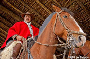 Chagra (Bauer) auf Pferd in Ecuador