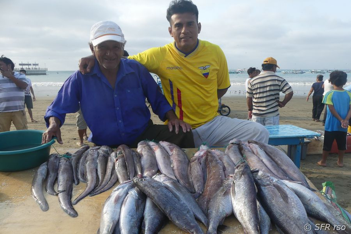 Fischverkauf im Hafen in Ecuador 