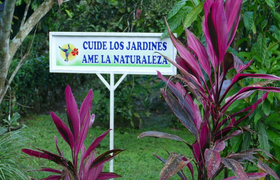 Gartenanlage Hotel Cabanas Naturalandia Ecuador