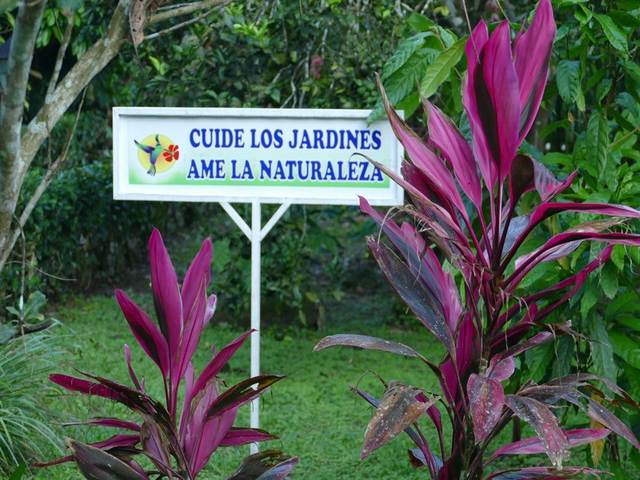 Gartenanlage Hotel Cabanas Naturalandia Ecuador