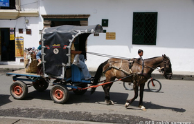Pferdekutsche Popayan Kolumbien