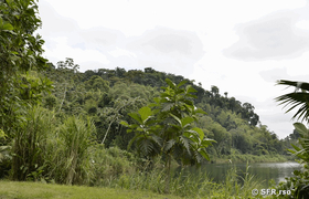 Reservat Río Palenque