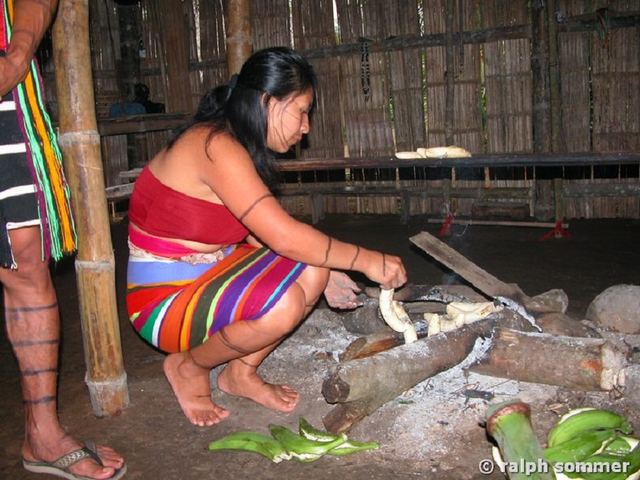 Santo Domingo de los Colorados Indigena