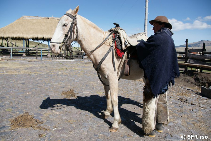Reiter mit Pferd Hosteria El Porvenir Cotopaxi Ecuador 