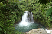 Wasserfall bei Nationalpark Sumaco, Ecuador