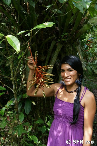 Ashuara Führerin, Ecuador