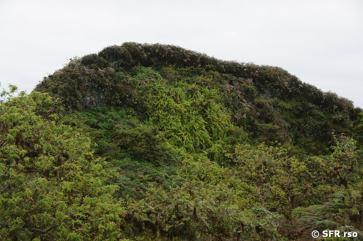 Hügel bei Los Trilizos, Galapagos