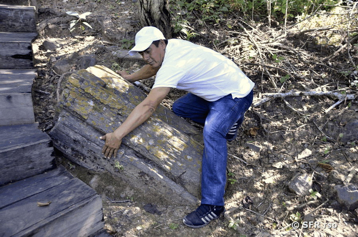 Baumstamm versteinert im Reservat Puyango in Ecuador