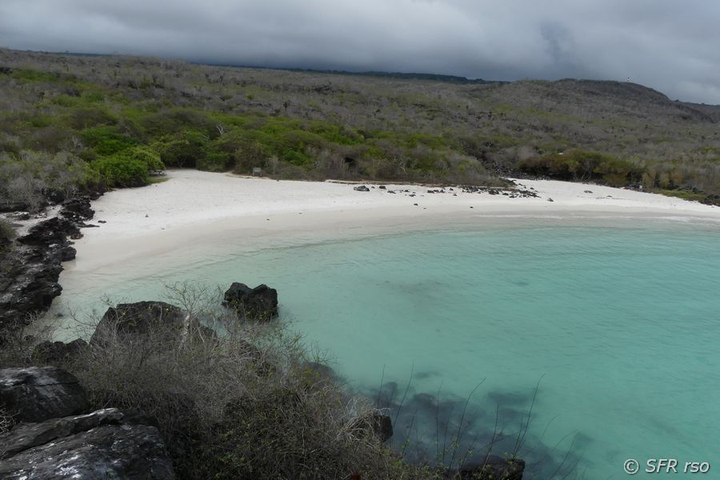 Strandbucht in Puerto Chino, Galapagos