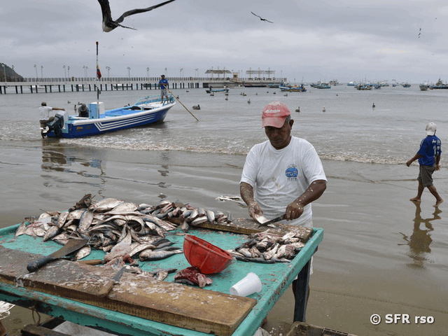 Fischer in Puerto López