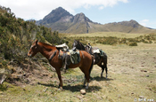 Umgebung und Pferde Hosteria El Porvenir Cotopaxi Ecuador 