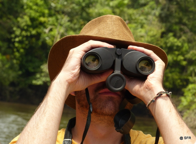Vogelbeobachtung in Ecuador durch das Fernglas