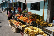 Fruchtstand in Ecuador