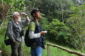 Birding im Nationalpark Sumaco in Ecuador